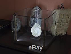 12x10 LED Lighted Display Case for Collectibles, Specimens, etc. Wood & Glass