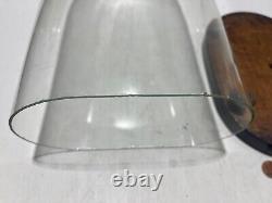 14 X 8.75 Glass Dome Bell Jar/Cloche Specimen Display Case Wood Base Clear
