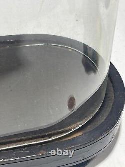14 X 8.75 Glass Dome Bell Jar/Cloche Specimen Display Case Wood Base Clear