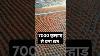 A Terrace Built With 7000 Kulhads Shorts Business Trending Uniqueideas Viralvideo