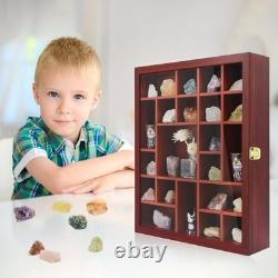 Adjustable Rock Display Case Glass Lid Mineral Collection Box, Wooden Cabinet