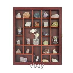 Adjustable Rock Display Case Glass Lid Mineral Collection Box, Wooden Cabinet