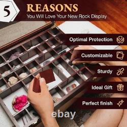 Adjustable Rock Display Case Large Shadow Box for Mineral & Crystal Storage, F