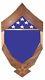 Air Force Logo Flag Military Award Walnut Wood Shadow Box Medal Display Case