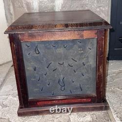 Antique 1800's Cabinet Display Case General Store Apothecary Burr Walnut Wood