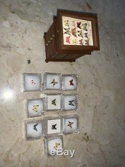 Antique Butterfly display Miniature case with 10 Lola Originals Butterflies