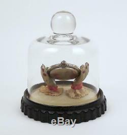Antique Ladies Pocket Watch Holder Painted Hands Glass Dome Display Case
