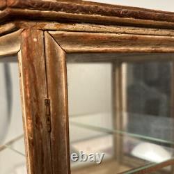 Antique Victorian Mirrored Wood And Glass Wal Curio Display Case
