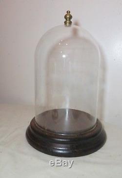 Antique carved routed wood glass dome brass display cloche bell jar case