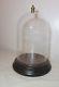 Antique Carved Routed Wood Glass Dome Brass Display Cloche Bell Jar Case