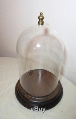 Antique carved routed wood glass dome brass display cloche bell jar case
