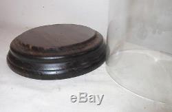 Antique carved routed wood glass dome brass display cloche bell jar case