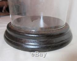 Antique carved routed wood glass dome brass display cloche bell jar case