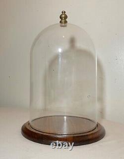 Antique glass wood brass display case cloche dome statue show cabinet bell jar