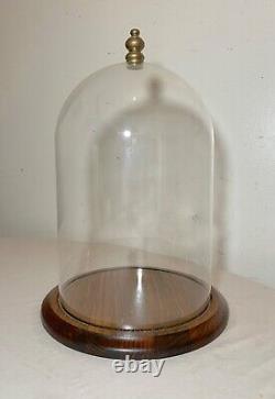 Antique glass wood brass display case cloche dome statue show cabinet bell jar