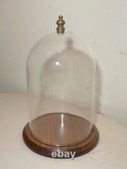 Antique glass wood brass display case cloche dome statue show cabinet bell jar