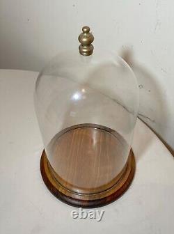 Antique glass wood brass display case cloche dome statue show cabinet bell jar
