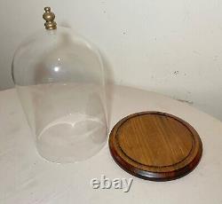 Antique glass wood brass display case cloche dome statue show cabinet bell jar