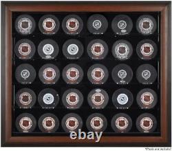 Brown Framed 30 Hockey Puck Display Case