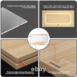 Car Display Case Acrylic 24 x 12 Wood LED Light 1/8 Rack 1/12 Model Diecast Box