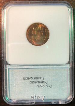 Certified Coin Collection in Wood Display Case