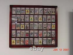 Cherry Sports 50 Card Display Case for Graded Cards