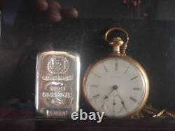 Coin Slab Display Case NGC PCGS ICG CAC Black Cabinet Wood Collector Shadow Box