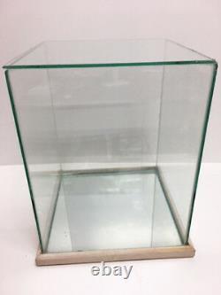 Collector Doll Glass & Mirror White Oak Wood Display Case Fits Up To 10