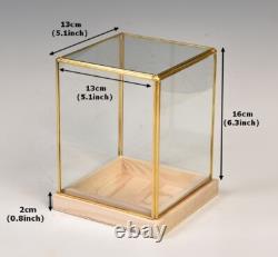 Figures Display Case Copper Trim Wooden Base Glass Doll Art Dust Protect Cover