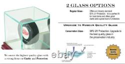 Glass Basketball Display Case Black Wood Base UV Protection Basketball Showcase