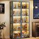 Glass Display Cabinet Closet Book Shelf 5 Shelves 2 Doors Storage Case For Curio