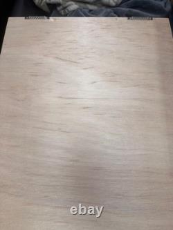 Guitar Display Case Electric Oak & Red Wood Cabinet USA Rack Wall Shadow Box