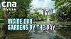 How To Upkeep A Scenic Paradise Inside Our Gardens By The Bay Full Episode