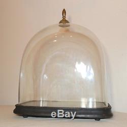 LARGE antique cloche dome glass wood brass display bell jar case stand rareshape