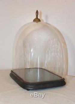 LARGE antique cloche dome glass wood brass display bell jar case stand rareshape