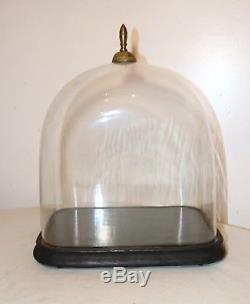 LARGE antique cloche dome glass wood brass display bell jar case stand rareshape