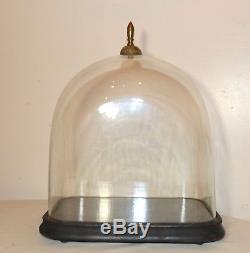 LARGE antique cloche dome glass wood brass display bell jar case stand rareshape