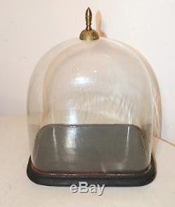 LARGE antique cloche dome glass wood brass display bell jar case stand rareshape