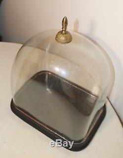 LARGE antique cloche dome glass wood brass display bell jar case stand rareshape