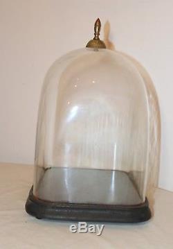 LARGE antique cloche dome glass wood brass display bell jar case stand rareshape