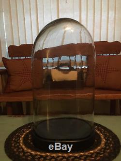 Large Antique Victorian French Oval Glass Display Dome With Wood Base 20 Tall