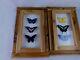 Lot Of 2 Real Butterfly Display Case Framed Shadow Box Wood Wall Hanging