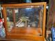 Maui Jim Sunglasses Display Case Wood Frame See Description