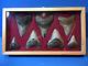 Megalodon Shark Tooth Collection 7 Nice Large Fossil Teeth + Wood Display Case