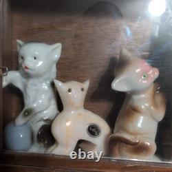 Mini Display Case with 33 mini Animal Figurines Wood and Glass Wall mount