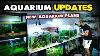 New Aquarium Updates Plants Fish U0026 New Project Plans Md Fish Tanks