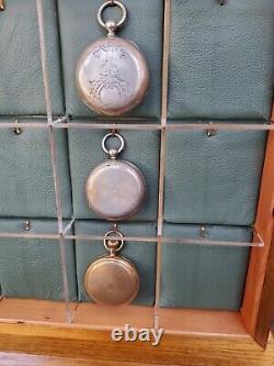 Pocket watch display case