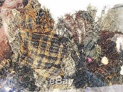 Pre-Colombian Chimu Shawl Textile Encased in Lucite and Wood Display Case