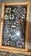 Sale! Oak Display Case 12 X 24 X 2.5 For Arrowheads Knives & More Free Shipping