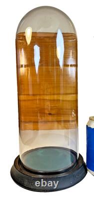 TALL Antique Glass Cloche Bell Jar Dome Wooden Wood Base Display Case 13.5 T